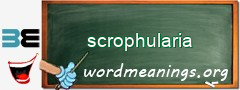 WordMeaning blackboard for scrophularia